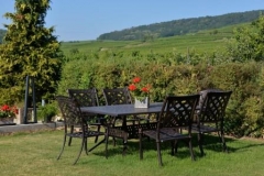 Gîtes Lichtenberger Espace Jardin Table Vue sur Vignoble