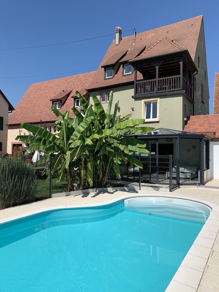 Jardin-piscine-maison-Pfaffenheim-Gîte