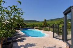 Piscine Vue sur le vignoble